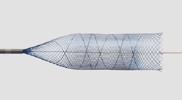 Dispozitiv de Embolizare DERIVO